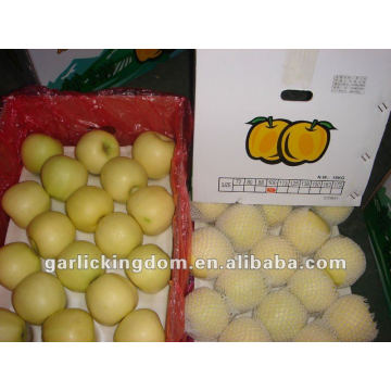 Frische Golden Delicious Apple (18kg 100-113-125)
